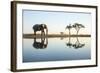 African Elephant, Chobe National Park, Botswana-Paul Souders-Framed Photographic Print