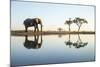 African Elephant, Chobe National Park, Botswana-Paul Souders-Mounted Photographic Print