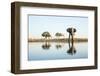 African Elephant, Chobe National Park, Botswana-Paul Souders-Framed Photographic Print