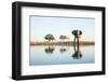 African Elephant, Chobe National Park, Botswana-Paul Souders-Framed Photographic Print