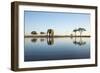 African Elephant, Chobe National Park, Botswana-Paul Souders-Framed Photographic Print