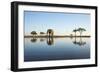 African Elephant, Chobe National Park, Botswana-Paul Souders-Framed Photographic Print