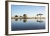 African Elephant, Chobe National Park, Botswana-Paul Souders-Framed Photographic Print