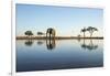 African Elephant, Chobe National Park, Botswana-Paul Souders-Framed Photographic Print