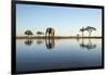 African Elephant, Chobe National Park, Botswana-Paul Souders-Framed Photographic Print