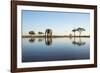 African Elephant, Chobe National Park, Botswana-Paul Souders-Framed Photographic Print