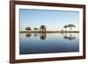 African Elephant, Chobe National Park, Botswana-Paul Souders-Framed Photographic Print