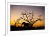 African Elephant, Chobe National Park, Botswana-Paul Souders-Framed Photographic Print