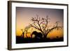 African Elephant, Chobe National Park, Botswana-Paul Souders-Framed Photographic Print