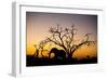 African Elephant, Chobe National Park, Botswana-Paul Souders-Framed Photographic Print