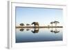 African Elephant, Chobe National Park, Botswana-Paul Souders-Framed Photographic Print