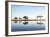 African Elephant, Chobe National Park, Botswana-Paul Souders-Framed Photographic Print