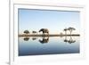 African Elephant, Chobe National Park, Botswana-Paul Souders-Framed Photographic Print