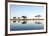 African Elephant, Chobe National Park, Botswana-Paul Souders-Framed Photographic Print