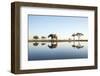 African Elephant, Chobe National Park, Botswana-Paul Souders-Framed Photographic Print