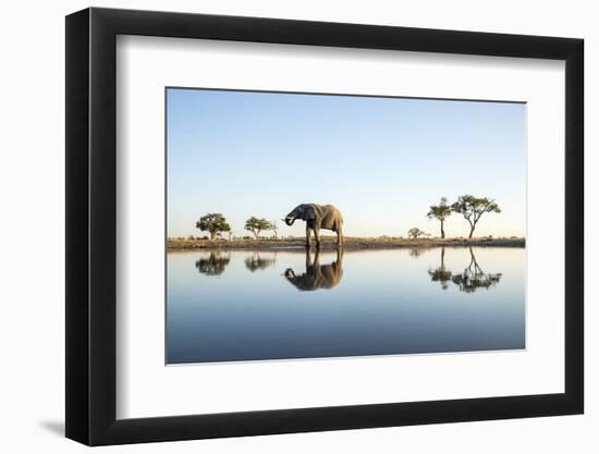 African Elephant, Chobe National Park, Botswana-Paul Souders-Framed Photographic Print