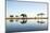 African Elephant, Chobe National Park, Botswana-Paul Souders-Mounted Photographic Print