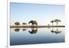 African Elephant, Chobe National Park, Botswana-Paul Souders-Framed Photographic Print