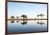 African Elephant, Chobe National Park, Botswana-Paul Souders-Framed Photographic Print