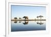 African Elephant, Chobe National Park, Botswana-Paul Souders-Framed Photographic Print