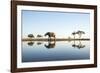 African Elephant, Chobe National Park, Botswana-Paul Souders-Framed Photographic Print