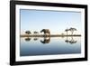 African Elephant, Chobe National Park, Botswana-Paul Souders-Framed Photographic Print