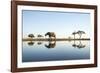 African Elephant, Chobe National Park, Botswana-Paul Souders-Framed Photographic Print