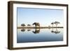 African Elephant, Chobe National Park, Botswana-Paul Souders-Framed Photographic Print