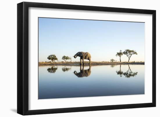 African Elephant, Chobe National Park, Botswana-Paul Souders-Framed Photographic Print