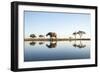 African Elephant, Chobe National Park, Botswana-Paul Souders-Framed Photographic Print