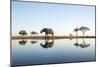 African Elephant, Chobe National Park, Botswana-Paul Souders-Mounted Photographic Print