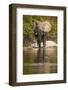 African Elephant Crossing River-Michele Westmorland-Framed Photographic Print