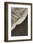 African Elephant Ear and Skin Detail (Loxodonta Africana)-Ann and Steve Toon-Framed Photographic Print