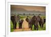 African Elephant Family on Safari, Mizumi Safari Park, Tanzania, East Africa, Africa-Laura Grier-Framed Photographic Print