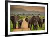 African Elephant Family on Safari, Mizumi Safari Park, Tanzania, East Africa, Africa-Laura Grier-Framed Photographic Print