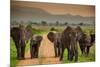 African Elephant Family on Safari, Mizumi Safari Park, Tanzania, East Africa, Africa-Laura Grier-Mounted Photographic Print