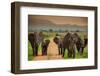 African Elephant Family on Safari, Mizumi Safari Park, Tanzania, East Africa, Africa-Laura Grier-Framed Photographic Print