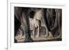 African Elephant Family-Lantern Press-Framed Premium Giclee Print