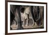 African Elephant Family-Lantern Press-Framed Premium Giclee Print