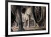 African Elephant Family-Lantern Press-Framed Premium Giclee Print