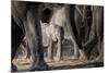 African Elephant Family-Lantern Press-Mounted Premium Giclee Print