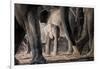 African Elephant Family-Lantern Press-Framed Art Print