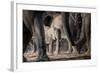 African Elephant Family-Lantern Press-Framed Art Print