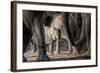 African Elephant Family-Lantern Press-Framed Art Print