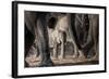 African Elephant Family-Lantern Press-Framed Art Print