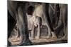 African Elephant Family-Lantern Press-Mounted Art Print