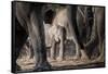 African Elephant Family-Lantern Press-Framed Stretched Canvas