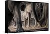 African Elephant Family-Lantern Press-Framed Stretched Canvas