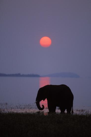 Premium Photographic Print, , large