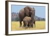 African Elephant Female, Cow with Young Calf-null-Framed Photographic Print